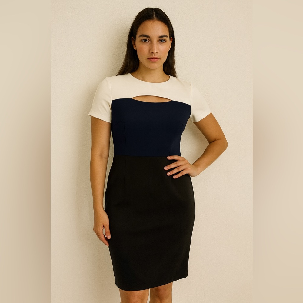 NWT Beige by eci Colorblock Bodycon Work or Cocktail Dress